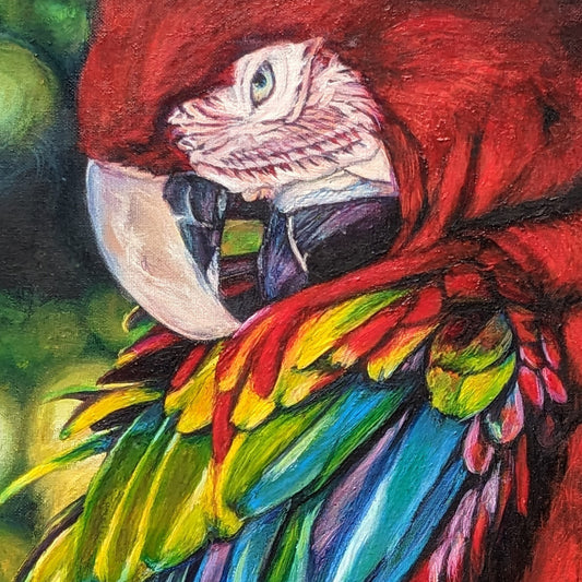 Colorful bird portrait featuring a scarlet macaw with green and blue feathers