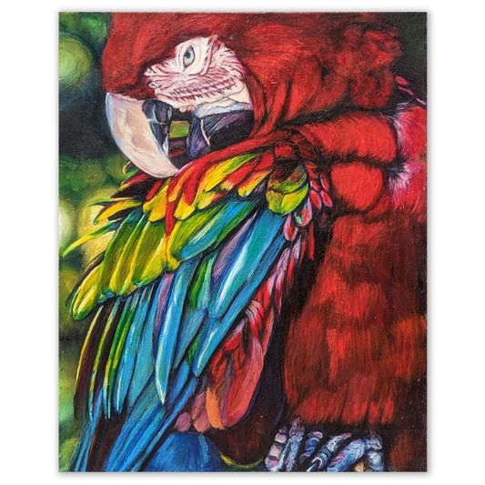 Original oil painting of a red macaw parrot with vivid tropical feathers by Ivy Bath