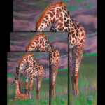 Baby and Mother Giraffes Fine Art Prints