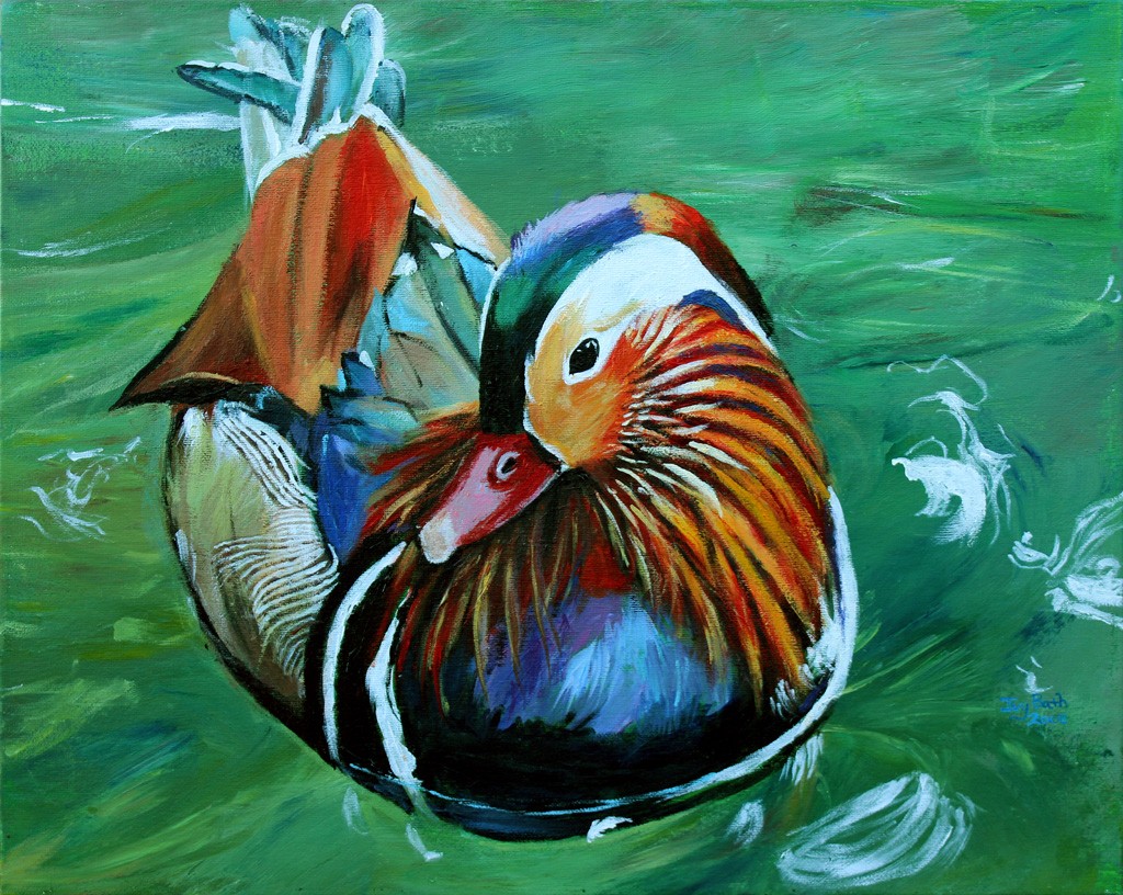 Painting of a Mandarin Duck by Ivy Bath