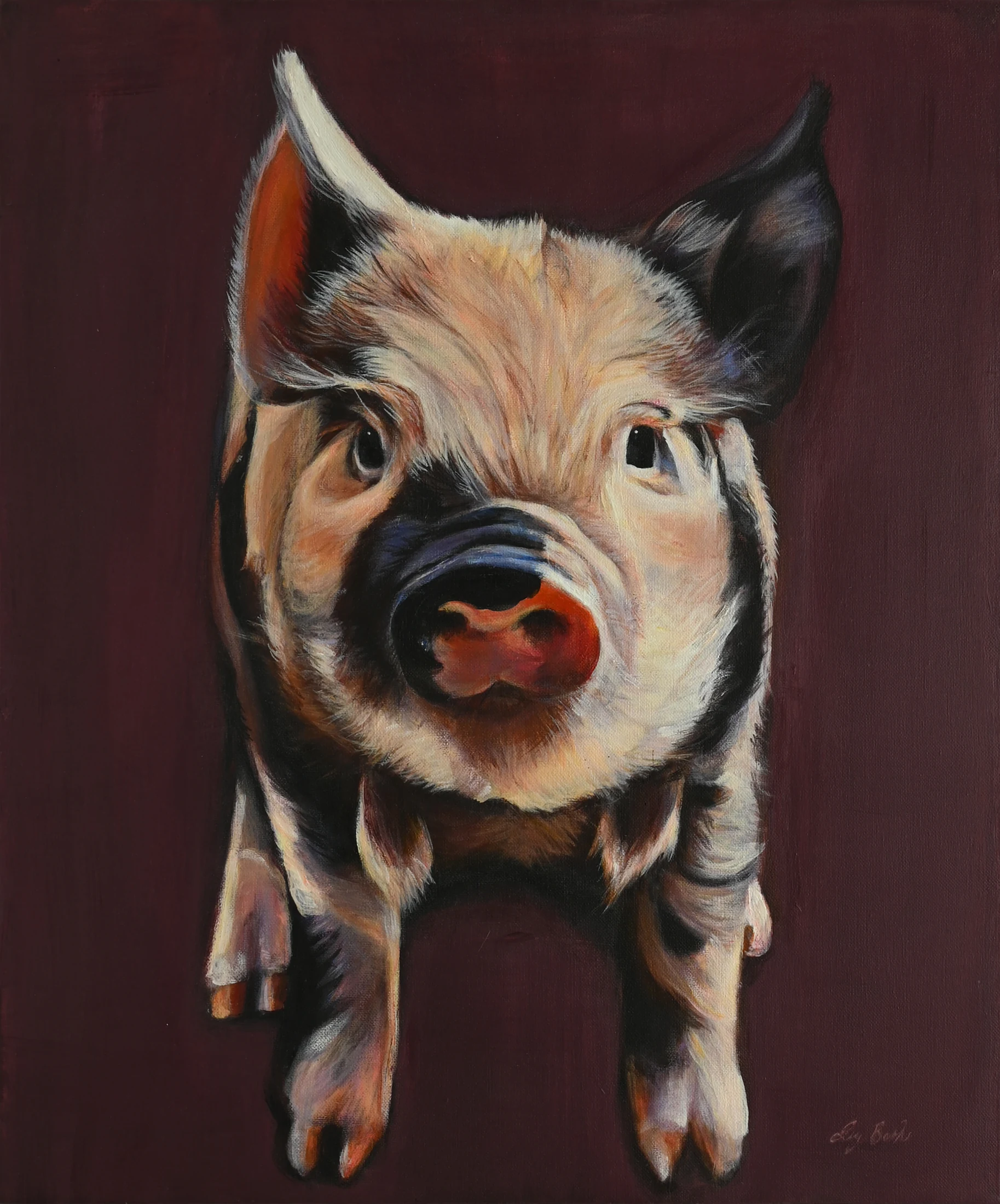 Poised in Pigment by Ivy Bath, an original acrylic portrait of a curious pig against a deep plum background