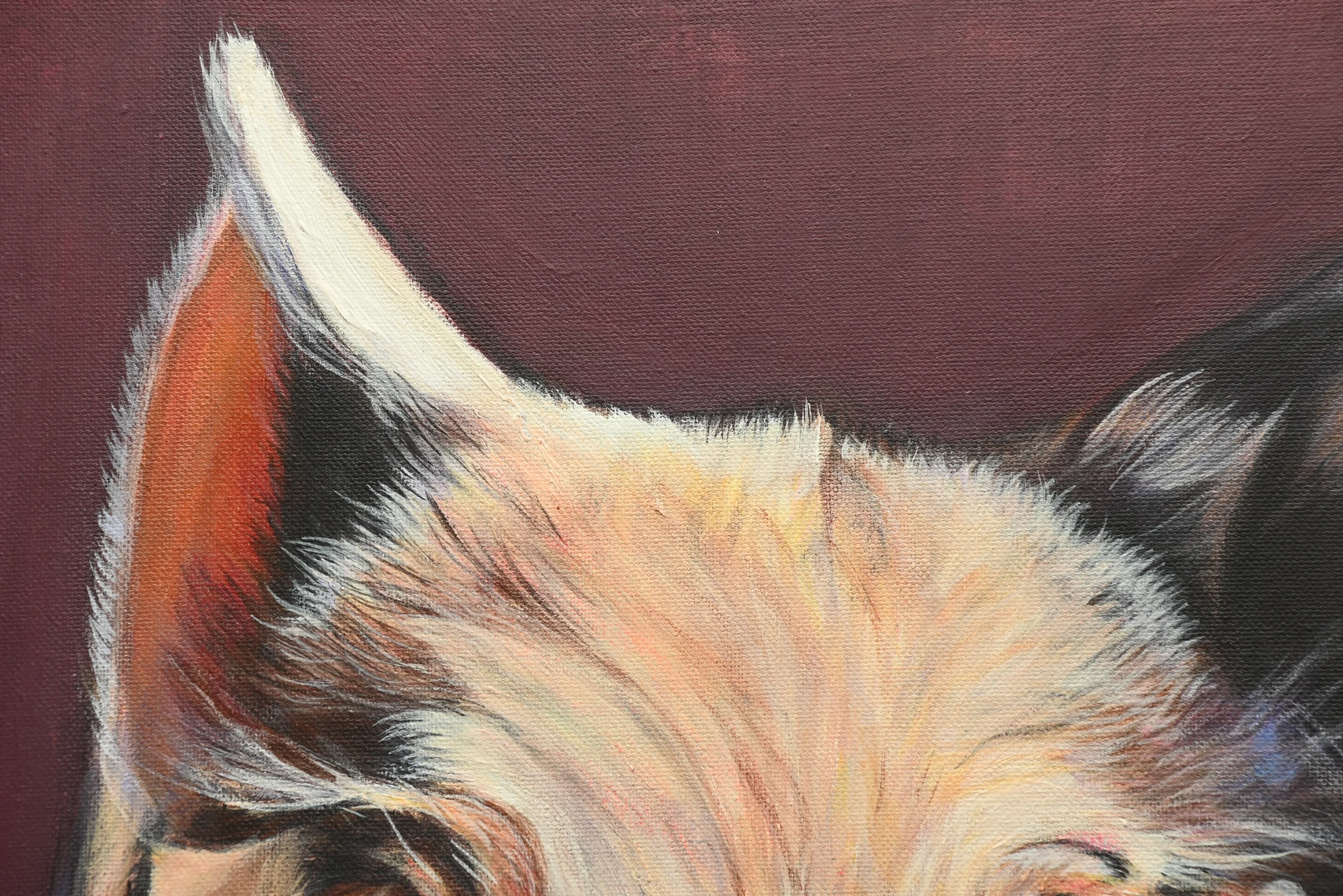 Close detail of the pig's ear and layered acrylic fur texture in Poised in Pigment