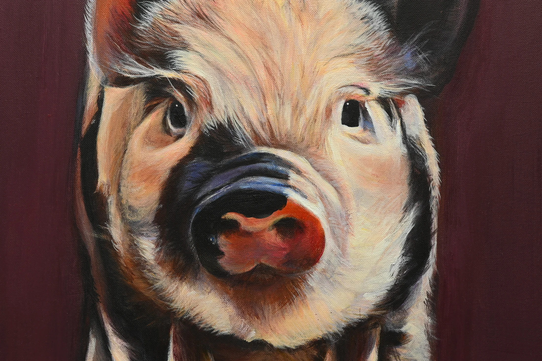 Close detail of the pig's expressive eyes and snout in Poised in Pigment