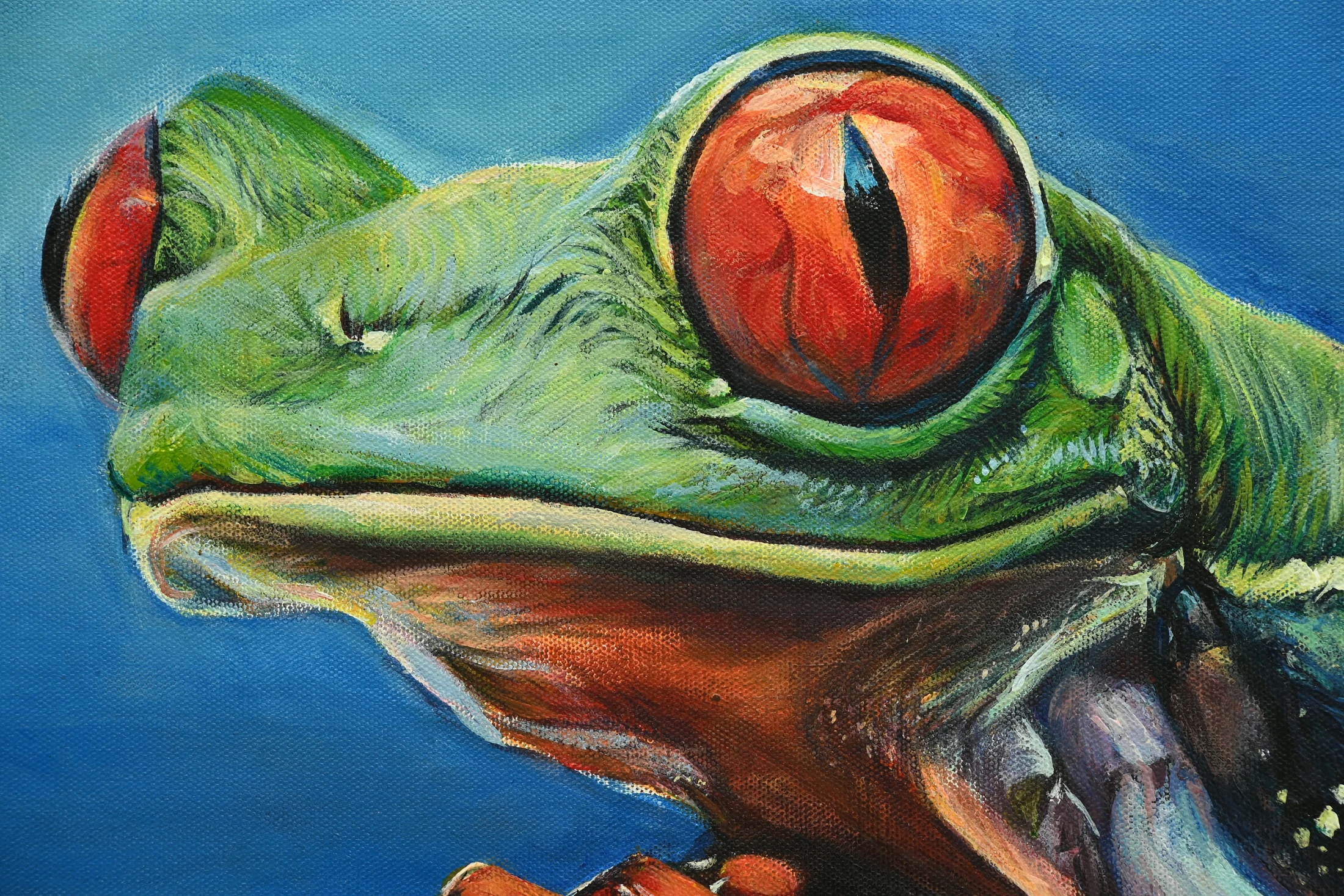Close detail of the tree frog's bright red eyes and green face in Prismatic Leap